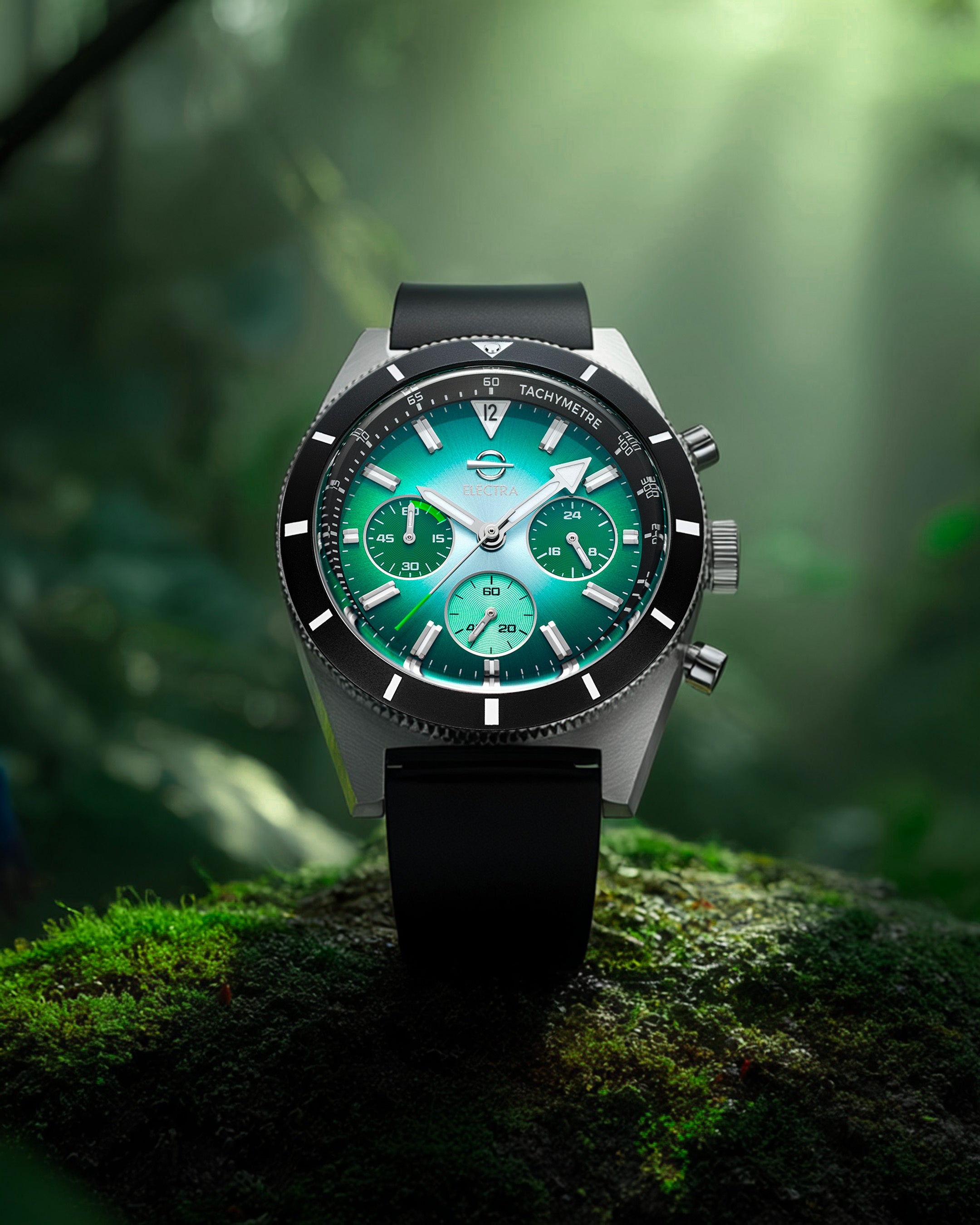 JUNGLE